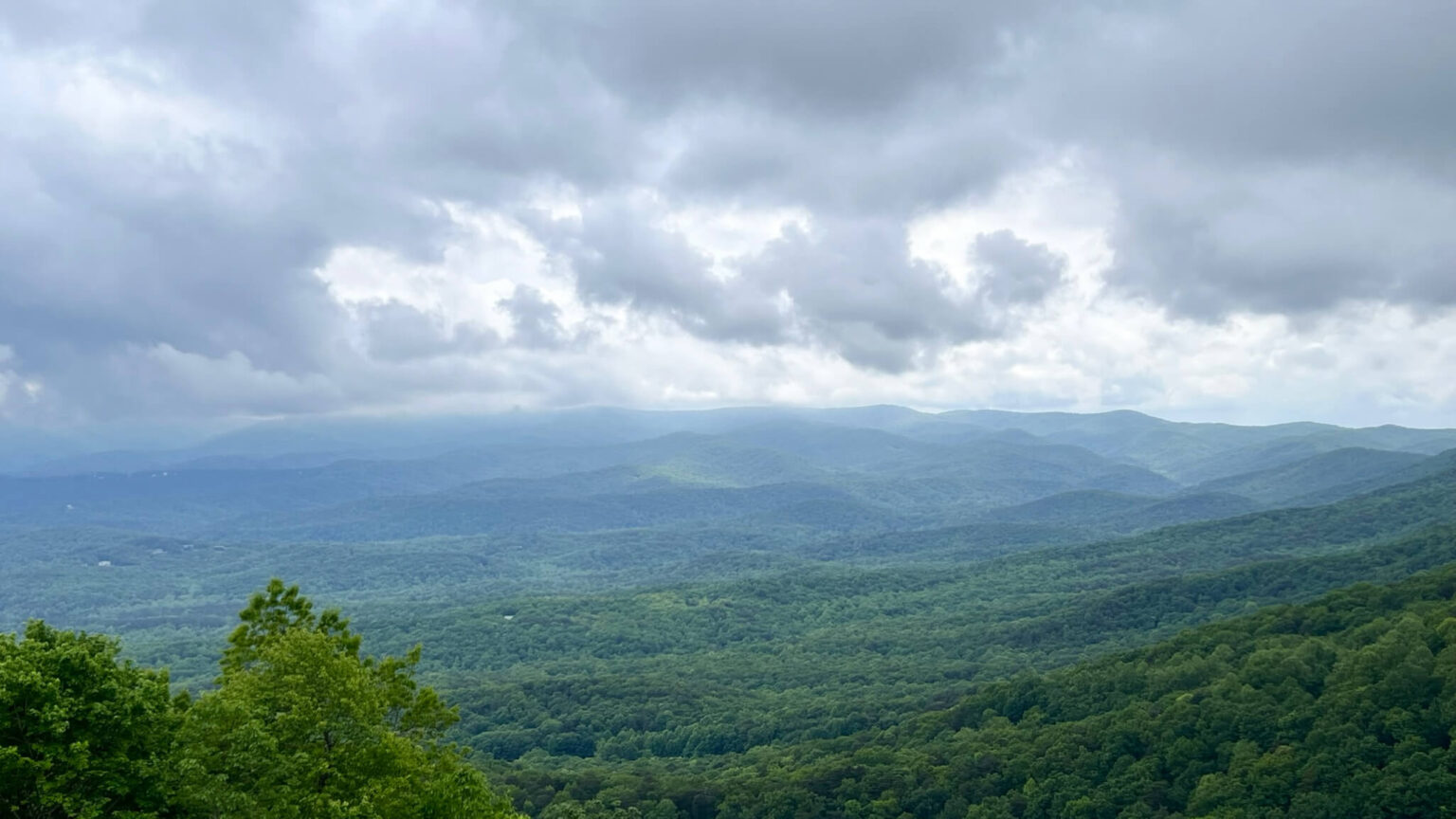 Zipline Amicalola Falls State Park Screaming Eagle Ziplines